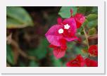 DSC001 (116) * 3008 x 2000 * (1.54MB)